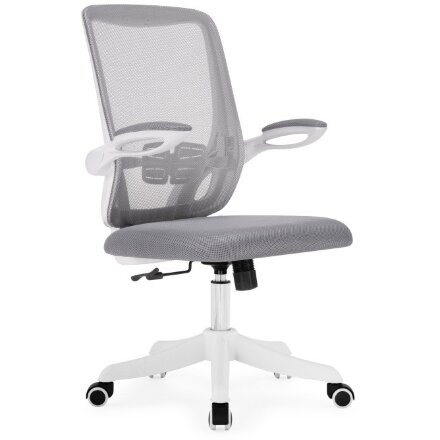 Компьютерное кресло Salem gray / white 