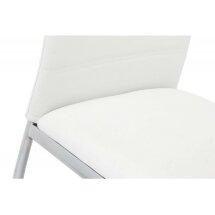 Стул на металлокаркасе Okus white