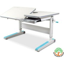 Детская парта Mealux RichWood Multicolor